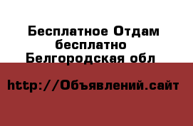 Бесплатное Отдам бесплатно. Белгородская обл.